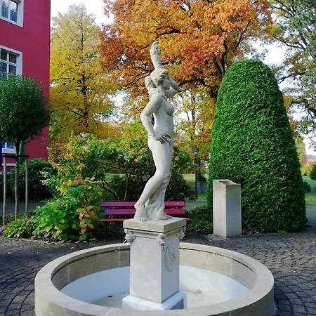 Hotel Parkhotel - Direkt An Der Elbe Bad Schandau