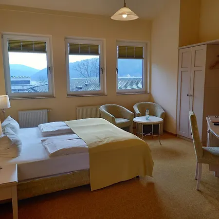Parkhotel - Direkt An Der Elbe 4* Bad Schandau