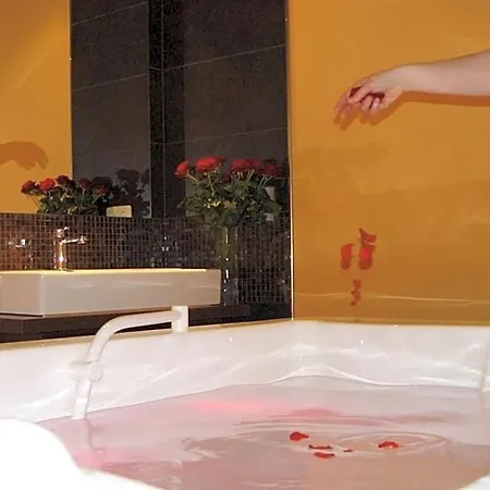 מלון Parkhotel - Direkt An Der Elbe 4*