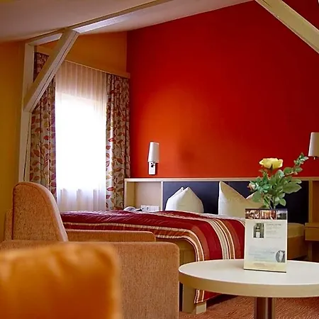 Parkhotel - Direkt An Der Elbe Hotel 4*