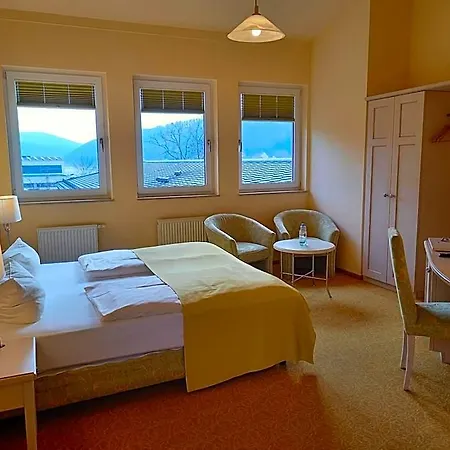 Parkhotel - Direkt An Der Elbe Hotel 4*