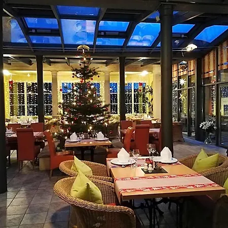 Parkhotel - Direkt An Der Elbe Hotel