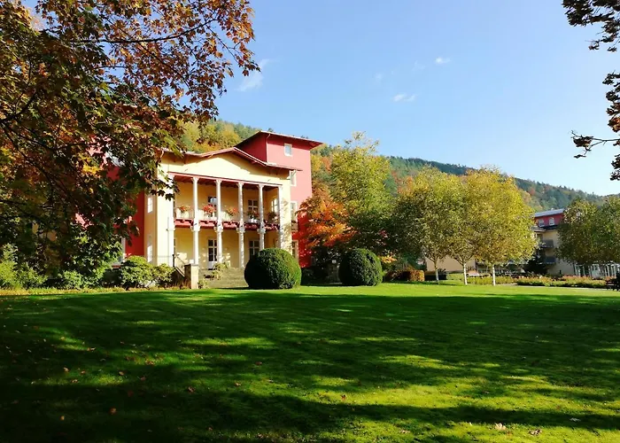 Parkhotel Bad Schandau - Direkt An Der Elbe Otel 4*