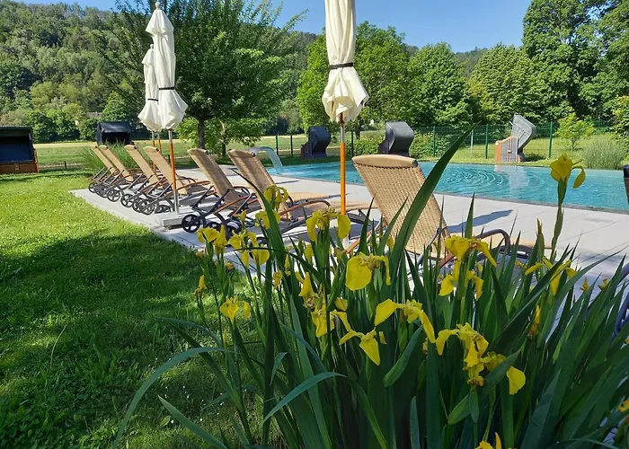 Parkhotel Bad Schandau - Direkt An Der Elbe Otel