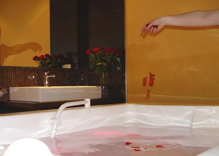 Parkhotel Bad Schandau - Direkt An Der Elbe 4*