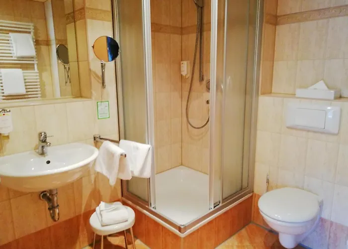 Parkhotel Bad Schandau - Direkt An Der Elbe 4*