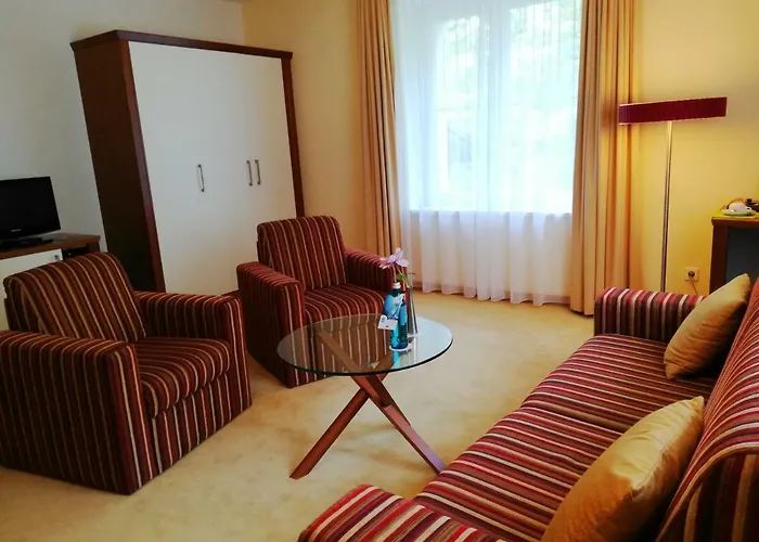 Parkhotel Bad Schandau - Direkt An Der Elbe Otel